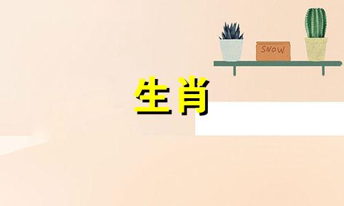 属猴合得来吗？公猴和母猴结婚幸福吗？