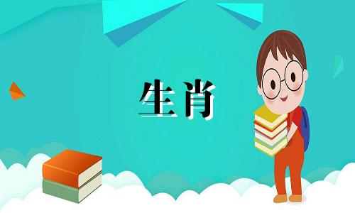 属牛男和属虎女适合结婚吗？相配的财运是什么？