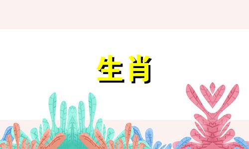 兔年出生的男人在情感上最大的弱点是什么？他的财运如何？