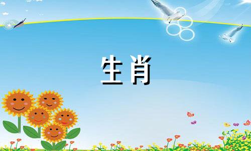 鼠和虎在一起会带来好运吗?属鼠和属虎合得来吗?