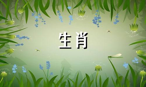 当属蛇的男人对待他所爱的女人时,他的表现就像属蛇的男人爱她一样。