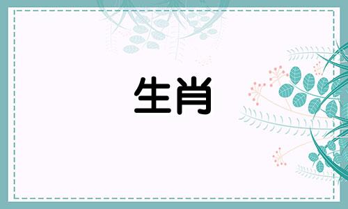 1997牛结婚，诠释97牛姑娘一生美好