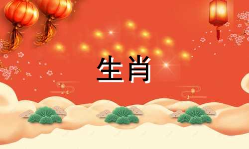 属龙和狗是否匹配需要解析