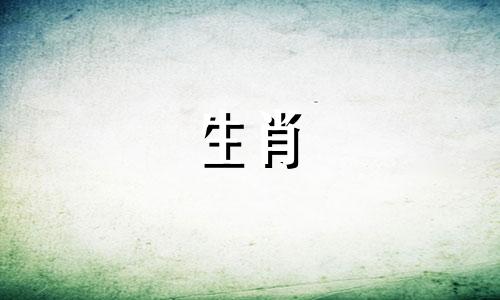 95年的猪什么时候结婚?27岁和28岁