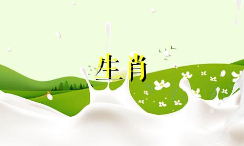 吴武羊刃不是杀人凶手如何解释