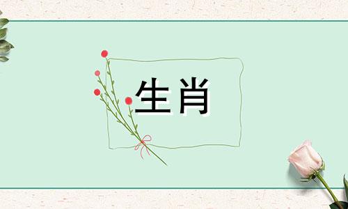 属龙一生中只离过一次婚吗