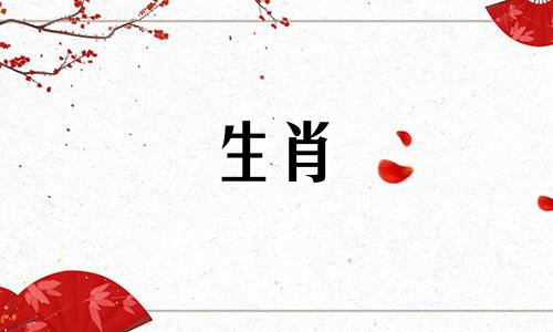 这两只兔子匹配吗?你运气怎么样?