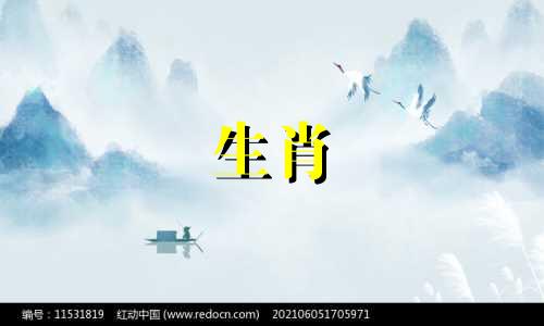 爱狗的女人和爱马的男人是好丈夫吗?比赛怎么样?