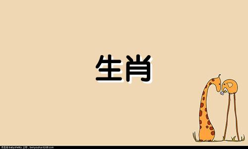 85年那头牛的生活是怎样的?