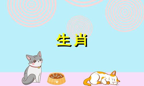 一个女人是狗，一个男人离不开一个好成绩的女人