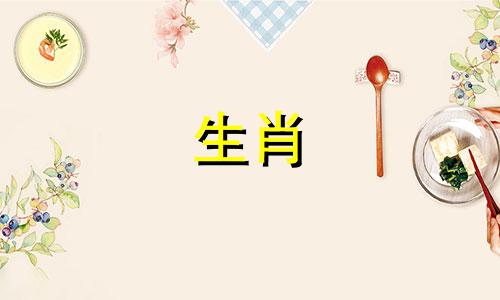 什么是属龙，什么是你的星座