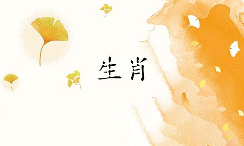 91羊男与狗女婚姻不幸福