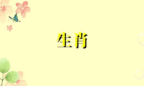 鸡兔冲突的解决方法会影响你的运气发展吗?
