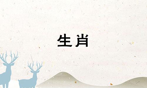 1987年10月的兔子怎么样?