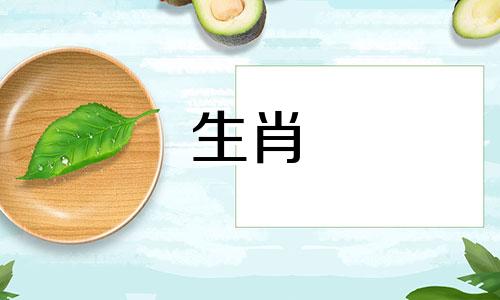 大鼠的最佳交配前景是什么?