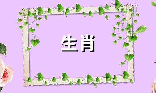 公狗和母马匹配吗?母马和公狗相配吗?