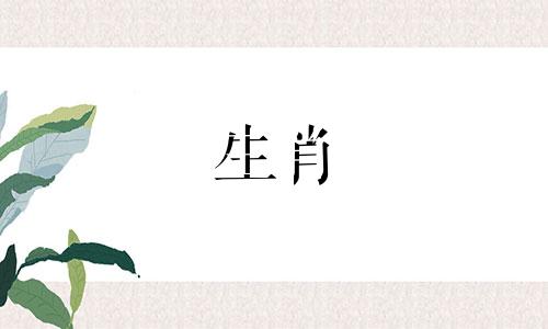 81年出生的女性的人生命运如何?