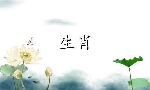 你们的婚姻长久吗?为什么山羊男找不到蛇女?