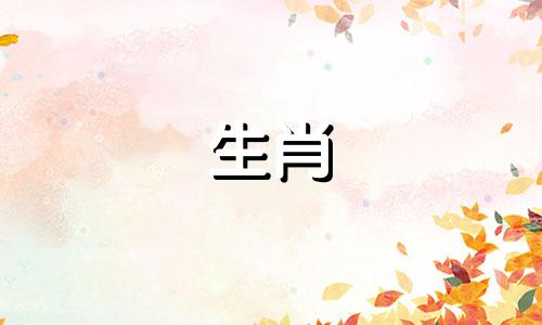 如果你们都是猪,结婚怎么样?