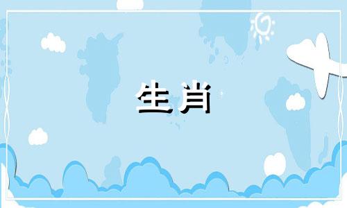 1987年一只兔子的生活是怎样的