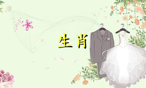 鼠男兔女的婚姻导致家庭不和