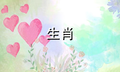 87兔人适合什么生肖相配星座