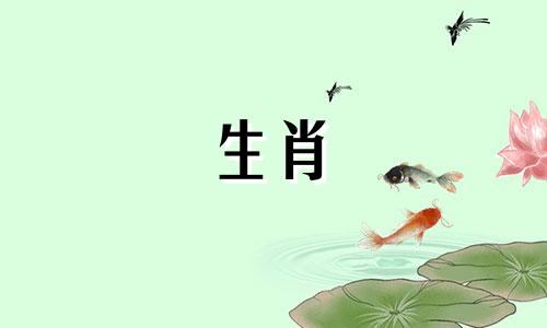 公鸡一生结过几次婚?四次婚