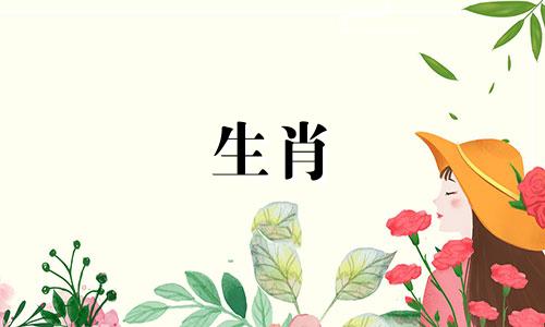 猴男猴女适合情侣吗?80猴和80猴结婚好吗?