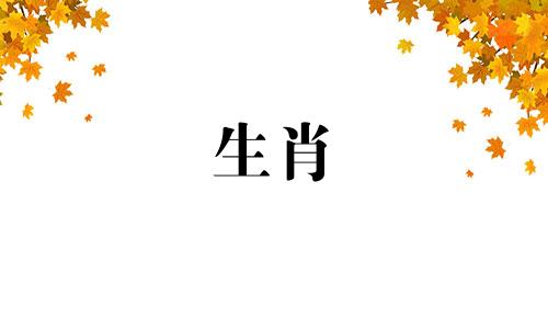 同一年的虎男和虎女配对吗?你的配对运气如何?