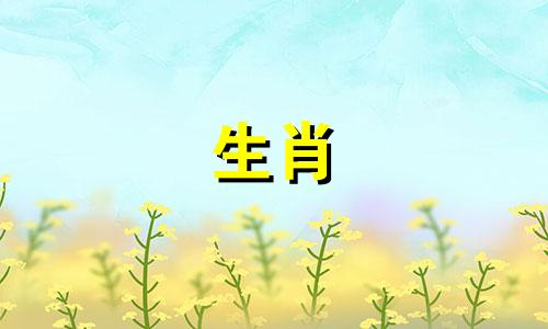 眉毛浓的女人比较固执,喜欢钻牛。