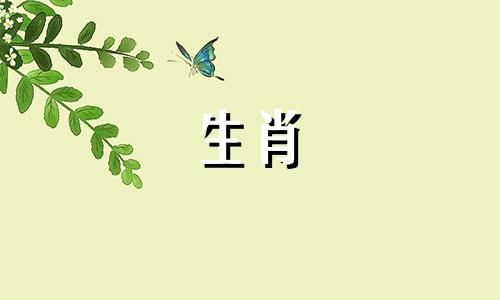 属龙猴鼠家族组合天作之合