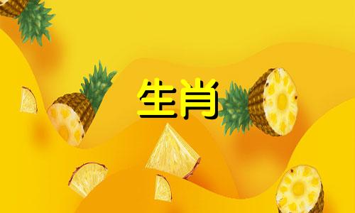 兔子男人喜欢黏人的女人怎么可能不喜欢