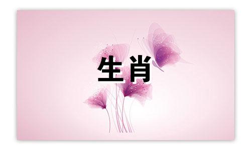 1988属龙女的婚姻怎么样?婚姻美满