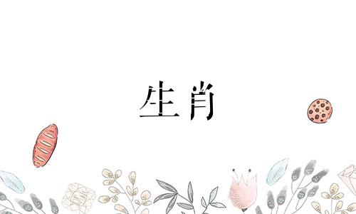 雄蛇和雌蛇匹配吗?你运气怎么样?