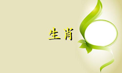99年是哪一年?1999年的兔子幸运吗?
