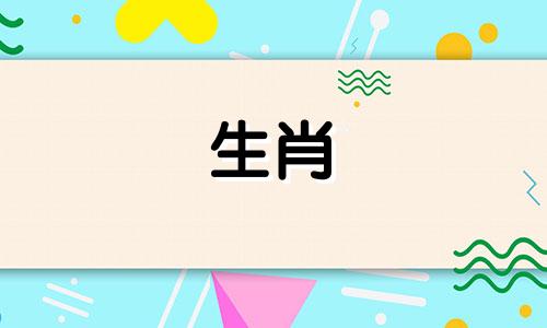 中国最具魅力的生肖女人是马女