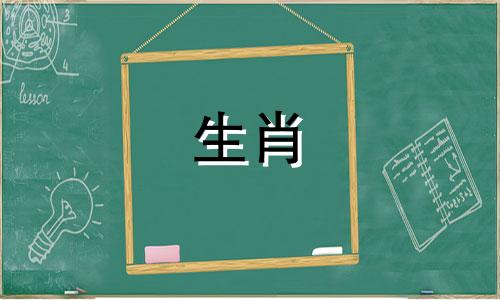 月亮猪真的坏了命吗?不太好