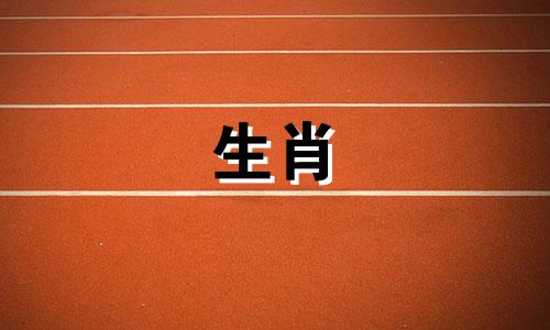 为什么兔子要避开属鼠生的孩子?