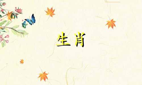 女人是猪，男人是牛。婚姻可以互相欣赏