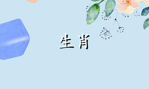 兔和什么生肖最适合狗羊猪