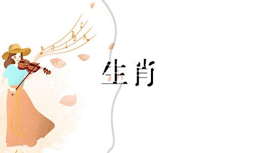 蛇和马不相容,公蛇和母马结婚幸福吗?