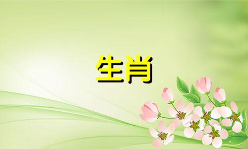 办公室植物把属龙舌兰酒放在桌子旁边