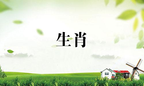 兔子和马是一对好搭档吗?