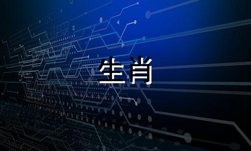 你是头猪，一般不晚结婚