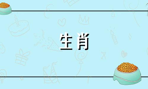 属龙是兔属龙是虎是狗