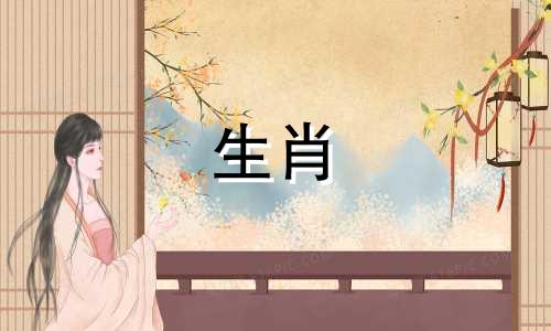 87年的公兔和96年的母鼠的配对运势如何?