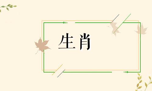 1988年属龙之赛比赛内容