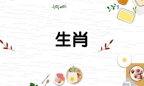 小鸡93岁婚姻状况情绪动荡