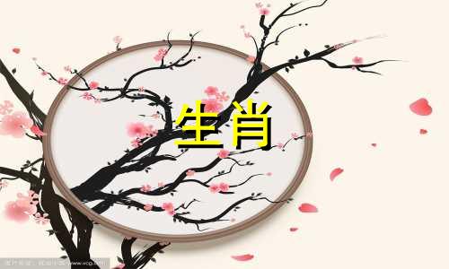 母兔公羊婚配羊兔婚配如何