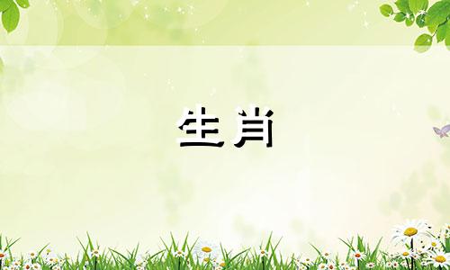 1991年羊的生活是怎样的?在1991年，绵羊的生活是怎样的?